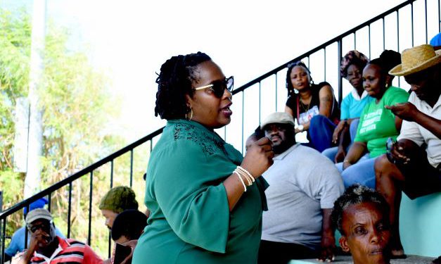 THE IMPORTANCE OF PARKS AND BEACHES UNIT TO THE BEAUTIFICATION OF THE ENVIRONMENT HIGHLIGHTED DURING MEETING WITH STAFF