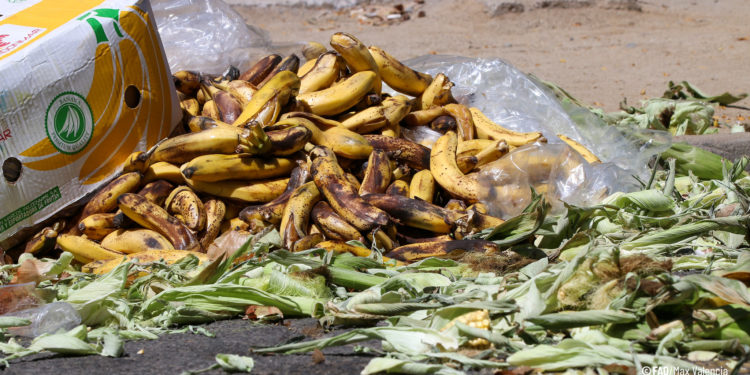 FAO commemorates International Food Loss and Waste Awareness Day with an important call to action