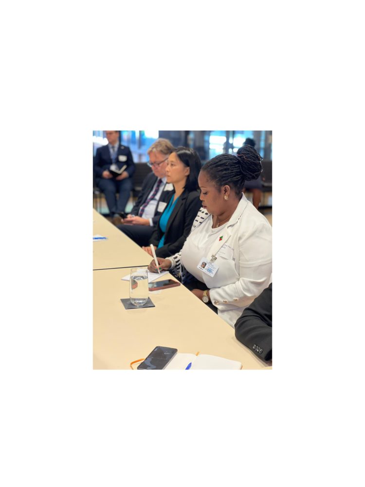 Minister of Environment Attends Series of Climate meetings leading up to UNFCCC COP 27