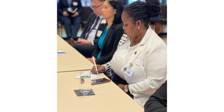 Minister of Environment Attends Series of Climate meetings leading up to UNFCCC COP 27