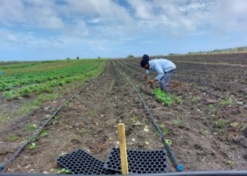 Water-Energy-Food-Environment Nexus Tools for enhanced climate resilience in Latin America and the Caribbean, one of the priority items during World Water Week