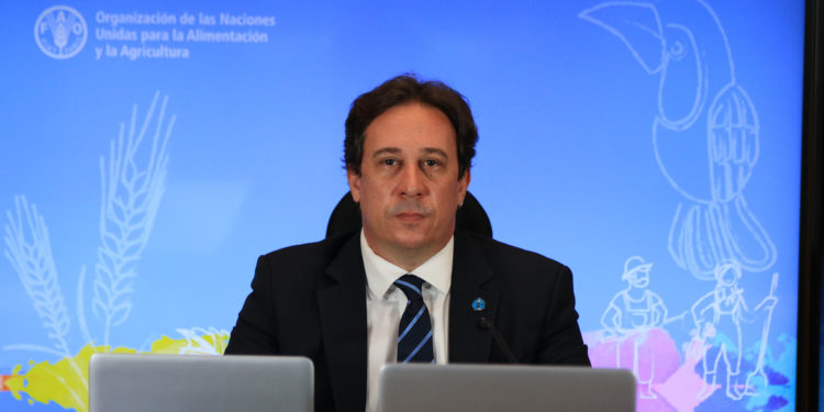 Family farming and its transformative potential for Latin America an￼d the Caribbean 