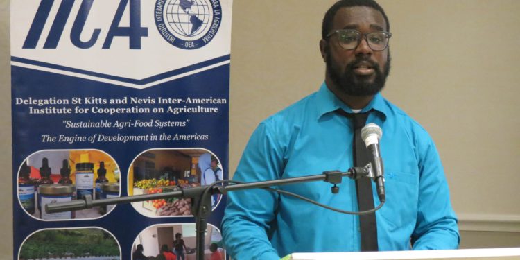 IICA HOSTS ACCOUNTABILITY SEMINAR AND CELEBRATES 30TH ANNIVERSARY OF OPERATION IN THE FEDERATION