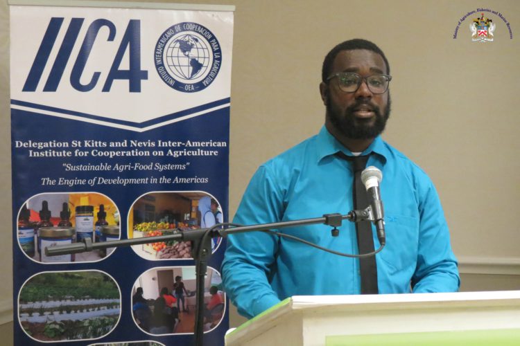 IICA HOSTS ACCOUNTABILITY SEMINAR AND CELEBRATES 30TH ANNIVERSARY OF OPERATION IN THE FEDERATION