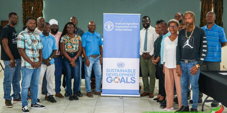 FAO-SPONSORED PROJECT TO HELP ENHANCE CROP PRODUCTION AND QUALITY IN ST. KITTS AND NEVIS