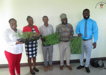 MOA DONATES SEEDLINGS AND SOURSOP TREES TO ANTIOCH BAPTISTCHURCH AND SOCIAL SERVICES