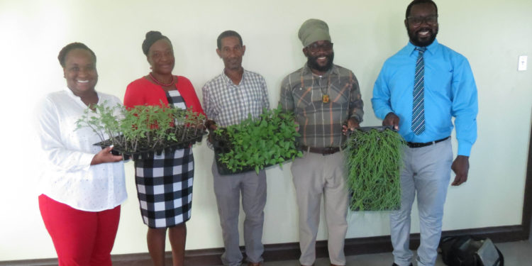 MOA DONATES SEEDLINGS AND SOURSOP TREES TO ANTIOCH BAPTISTCHURCH AND SOCIAL SERVICES