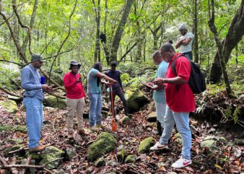 Validation of Potential Rainwater Harvesting Sites in Saint Kitts and Nevis