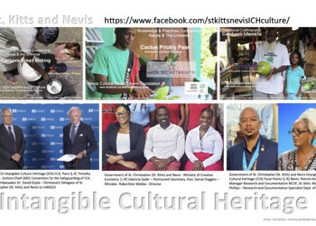 ICH BY AMBASSADOR DOYLE