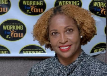 Ministry of Environment to put in place an organizational structure