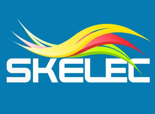 Statement on Recent Skelec matters