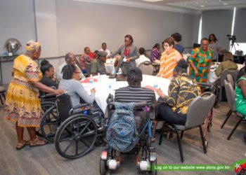 CONSULTATION ON DISABILITY RIGHTS CONVENTION TO INFORM GOVERNMENT’S POLICIES AND PROGRAMMES