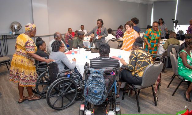 CONSULTATION ON DISABILITY RIGHTS CONVENTION TO INFORM GOVERNMENT’S POLICIES AND PROGRAMMES