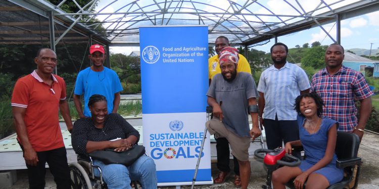 21 farms selected as beneficiary farms across the Caribbean under The Innovative Protected Cultivation Systems Project