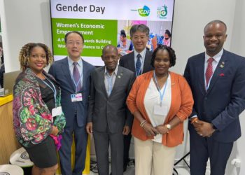 Rt. Hon. Dr. Denzil Douglas hosts COP27 Gender Day side event centering on women in small businesses in the Caribbean
