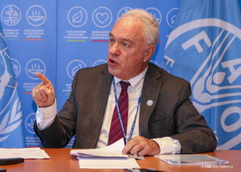 On the road to a sustainable Amazon