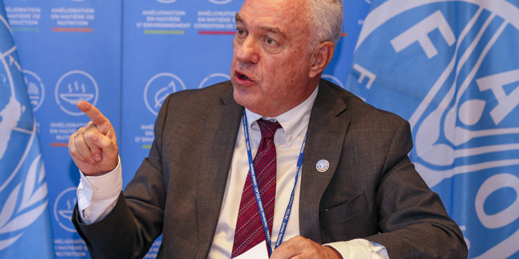 On the road to a sustainable Amazon