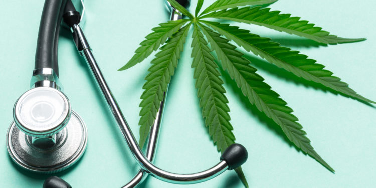 AS PLANS FOR THE LOCAL MEDICINAL CANNABIS INDUSTRY UNFOLD, GOVERNMENT MOVES TO OPERATIONALIZE MEDICAL CANNABIS AUTHORITY