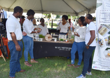 St. Kitts and Nevis small business entrepreneurs promised support by Federal Ministry