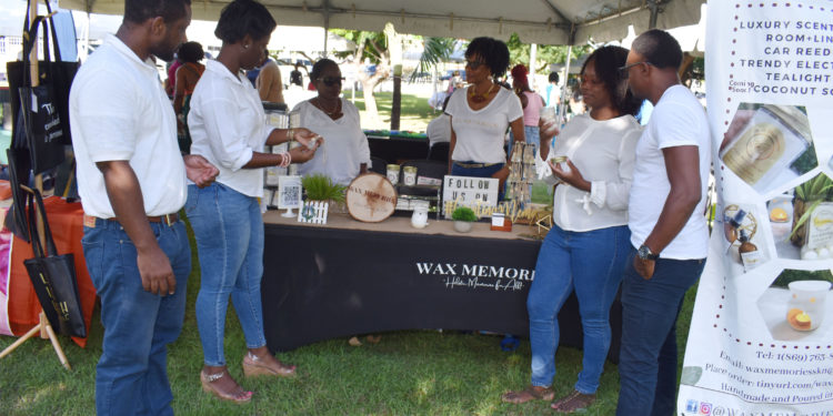 St. Kitts and Nevis small business entrepreneurs promised support by Federal Ministry