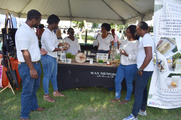 St. Kitts and Nevis small business entrepreneurs promised support by Federal Ministry