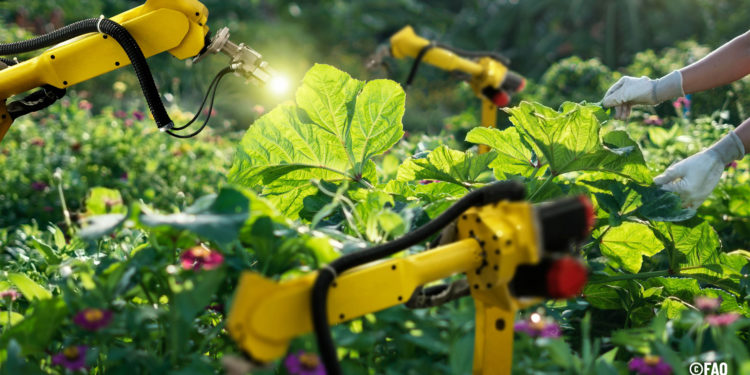 FAO report analyses how automation in agriculture is helping to transform agrifood systems