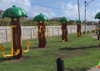 EXERCISE EQUIPMENT AT THE NEW ROAD FAMILY PARK MEANT TO ENCOURAGE PERSONAL PHYSICAL FITNESS