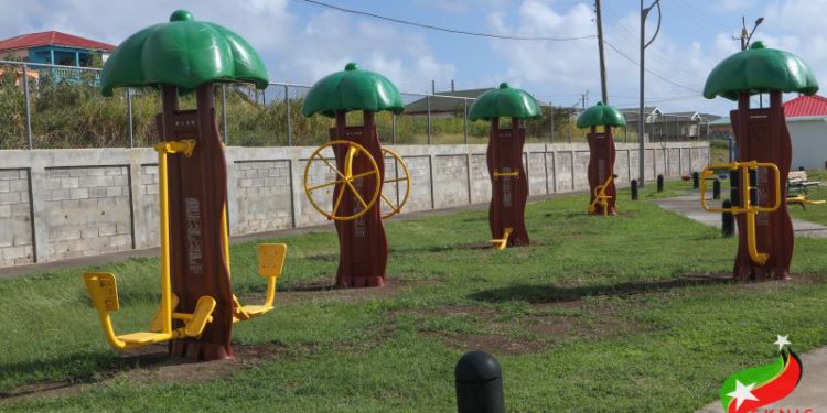 EXERCISE EQUIPMENT AT THE NEW ROAD FAMILY PARK MEANT TO ENCOURAGE PERSONAL PHYSICAL FITNESS
