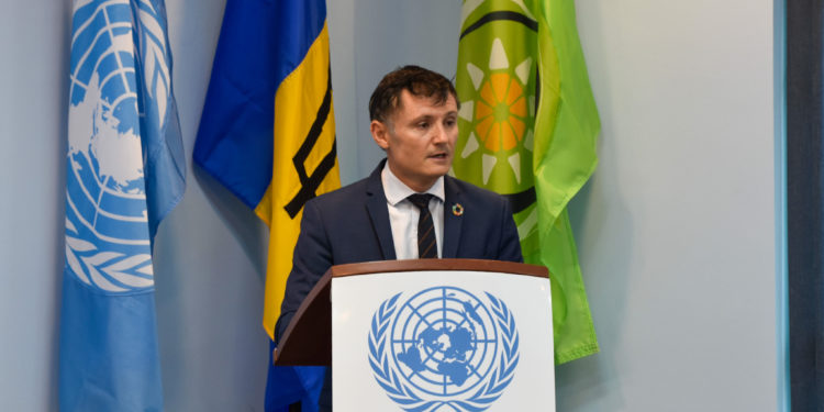 International Day of Persons with Disabilities 2022