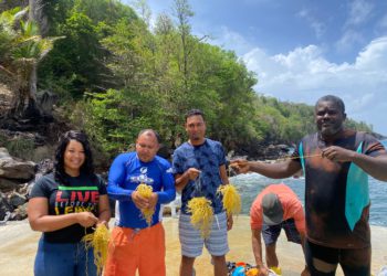Cultivating Dominica’s seamoss industry from shore to land