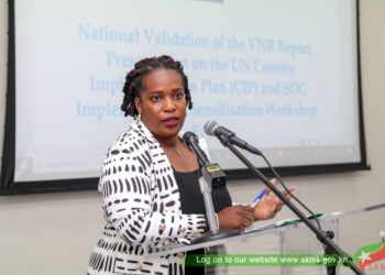 Federation prepares its first Voluntary National Review