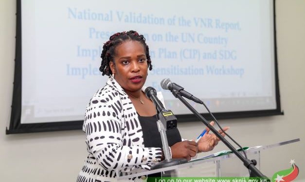 Federation prepares its first Voluntary National Review