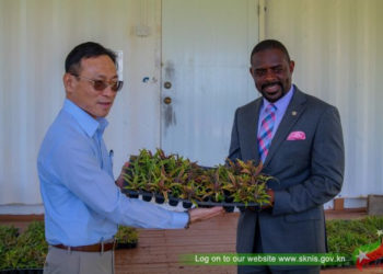 TAIWAN TECHNICAL MISSION DONATES 3,500 PINEAPPLE SLIPS TO THE MINISTRY OF AGRICULTURE