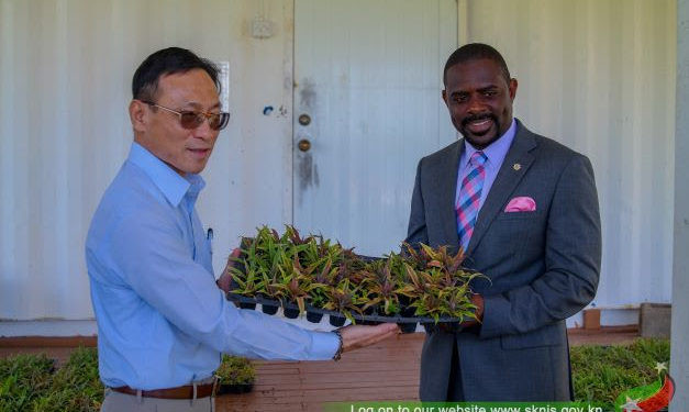 TAIWAN TECHNICAL MISSION DONATES 3,500 PINEAPPLE SLIPS TO THE MINISTRY OF AGRICULTURE