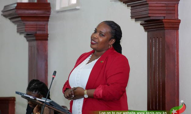 HONOURABLE DR. CLARKE HIGHLIGHTS VITAL PILLARS FOR TRANSFORMING ST. KITTS AND NEVIS INTO A SUSTAINABLE ISLAND STATE