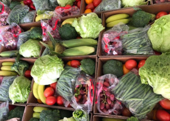 FOOD SECURITY IS ACHIEVABLE THROUGH PROPER MANAGEMENT AND FOCUSED INVESTMENT- MINISTER DUGGINS