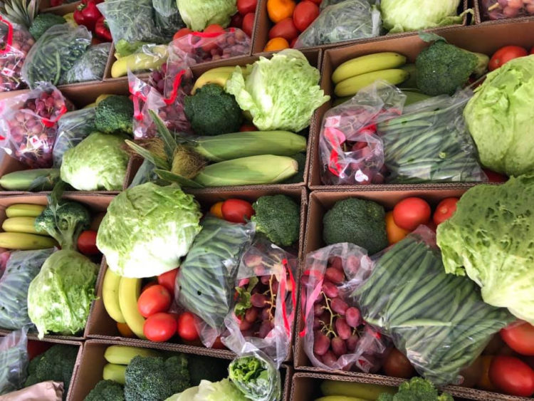 FOOD SECURITY IS ACHIEVABLE THROUGH PROPER MANAGEMENT AND FOCUSED INVESTMENT- MINISTER DUGGINS