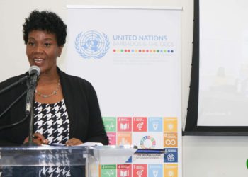 NATIONAL STAKEHOLDERS GATHER TO TAKE STOCK OF THE UN SYSTEM’S PROGRAMMATIC SUPPORT TO ST KITTS AND NEVIS IN 2022