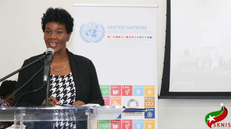 NATIONAL STAKEHOLDERS GATHER TO TAKE STOCK OF THE UN SYSTEM’S PROGRAMMATIC SUPPORT TO ST KITTS AND NEVIS IN 2022