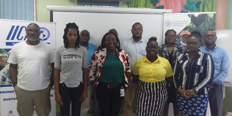 Eight farmers’ organizations in Saint Lucia embark on the road to Capacity Building with FAO, IICA and IFAD