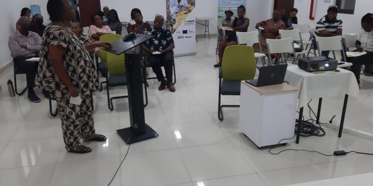 FAO and IICA launch capacity-building program activities for farmers’ organizations in Grenada