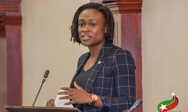 GOVERNMENT OF ST. KITTS AND NEVIS GAZETTES TO MOVE ONLINE FOLLOWING PARLIAMENTARY APPROVAL