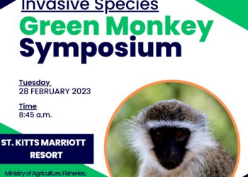 AGRI STAKEHOLDERS INVITED TO INVASIVE SPECIES GREEN MONKEY CONSULTATION