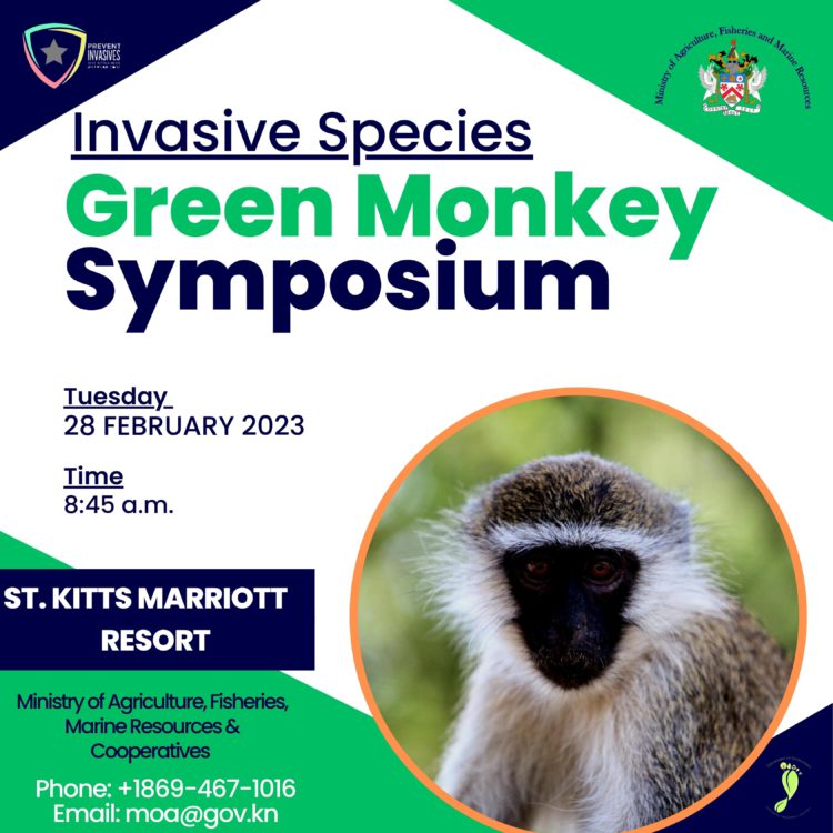 AGRI STAKEHOLDERS INVITED TO INVASIVE SPECIES GREEN MONKEY CONSULTATION 