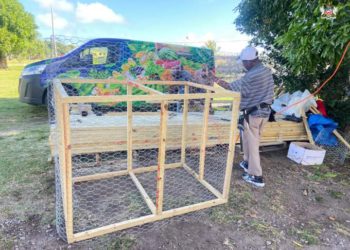 DEPARTMENT OF AGRICULTURE TO DEPLOY 500 MONKEY TRAPS THROUGHOUT ST. KITTS