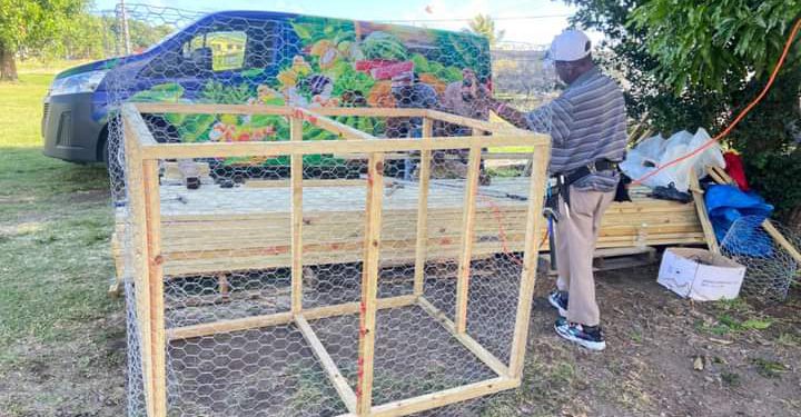 DEPARTMENT OF AGRICULTURE TO DEPLOY 500 MONKEY TRAPS THROUGHOUT ST. KITTS