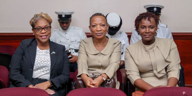 NURSES AND MIDWIVES (REGISTRATION) (AMENDMENT) BILL, 2023 SUCCESSFULLY PASSED IN THE NATIONAL ASSEMBLY