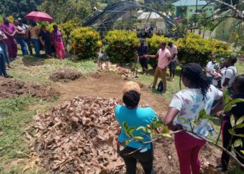 100 participants in the Caribbean equipped to enhance livestock and soil management