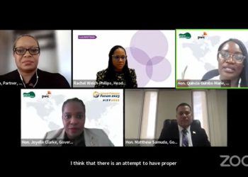 Minister of Sustainable Development addresses Environment Social and Governance Framework and Legislation supporting SDGs in regional panel discussion