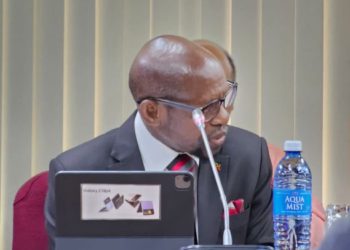 Saint Kitts and Nevis Top Diplomat Makes Intervention on Health and Pharna in Engagement between CARICOM Foreign Ministers and their Indian Counterpart